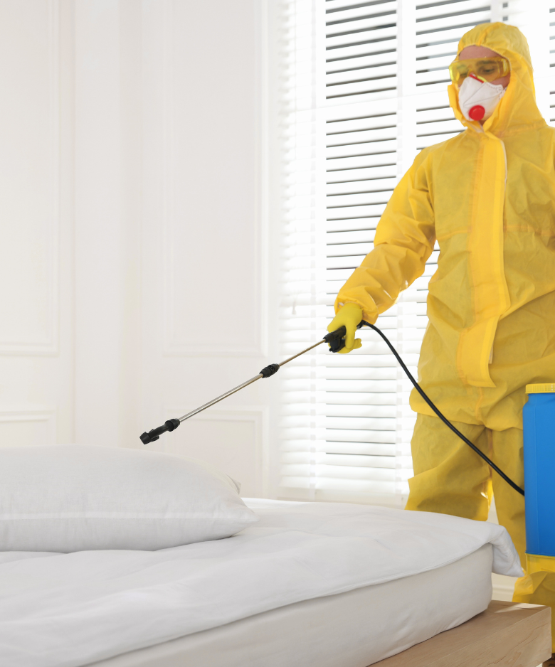 Professional Pest Control Team in Maslin Beach